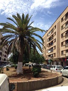 ORAN-HLM DE GAMBETTA  (3)
